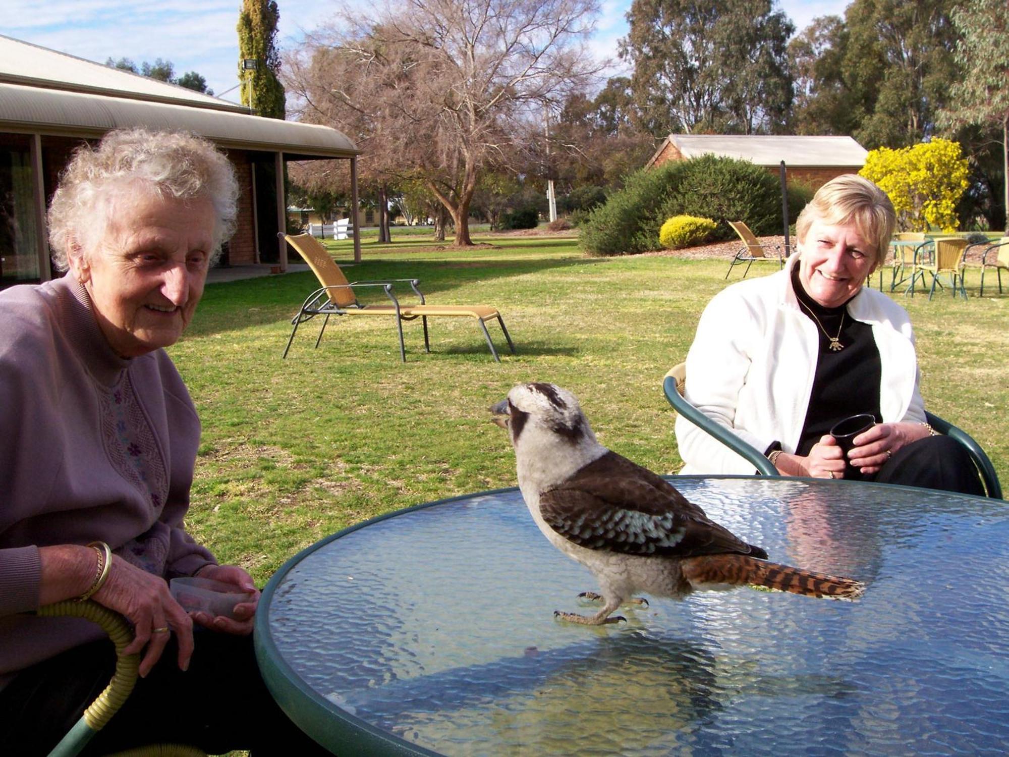 Cadell On The Murray Motel Moama Exteriör bild